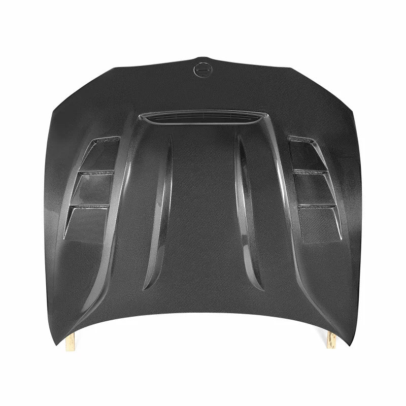 BMW G20 Carbon Fiber DW Style Hood